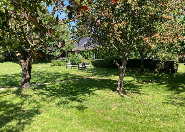 Jardin extérieur Logis LE BAS AULNAY à CHALLAIN LA POTHERIE (49)